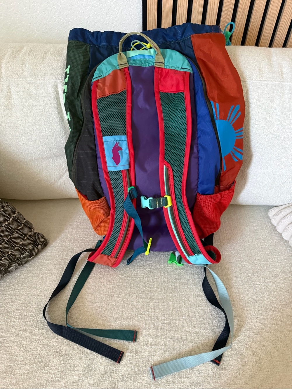 AllTrails × Cotopaxi Luzon 24L Adventure Backpack - Picture 3 of 5